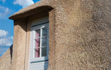 Netherclay thatch roof disadvantages